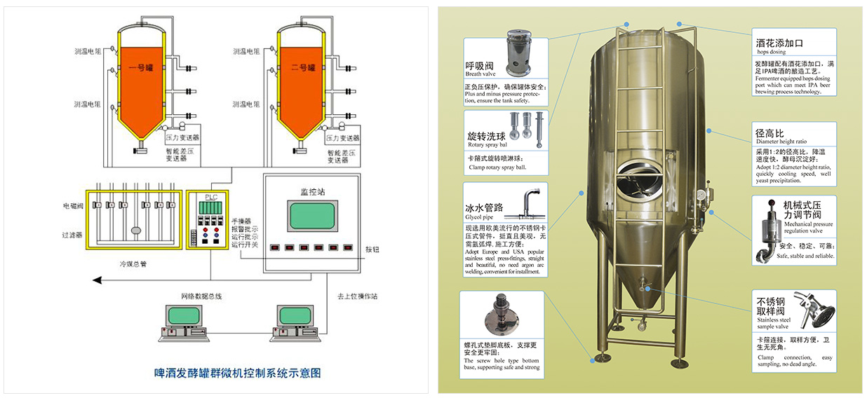 啤酒發(fā)酵